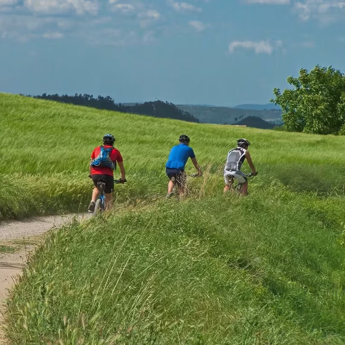 Bicycles for trips in the Mecklenburg Lake District